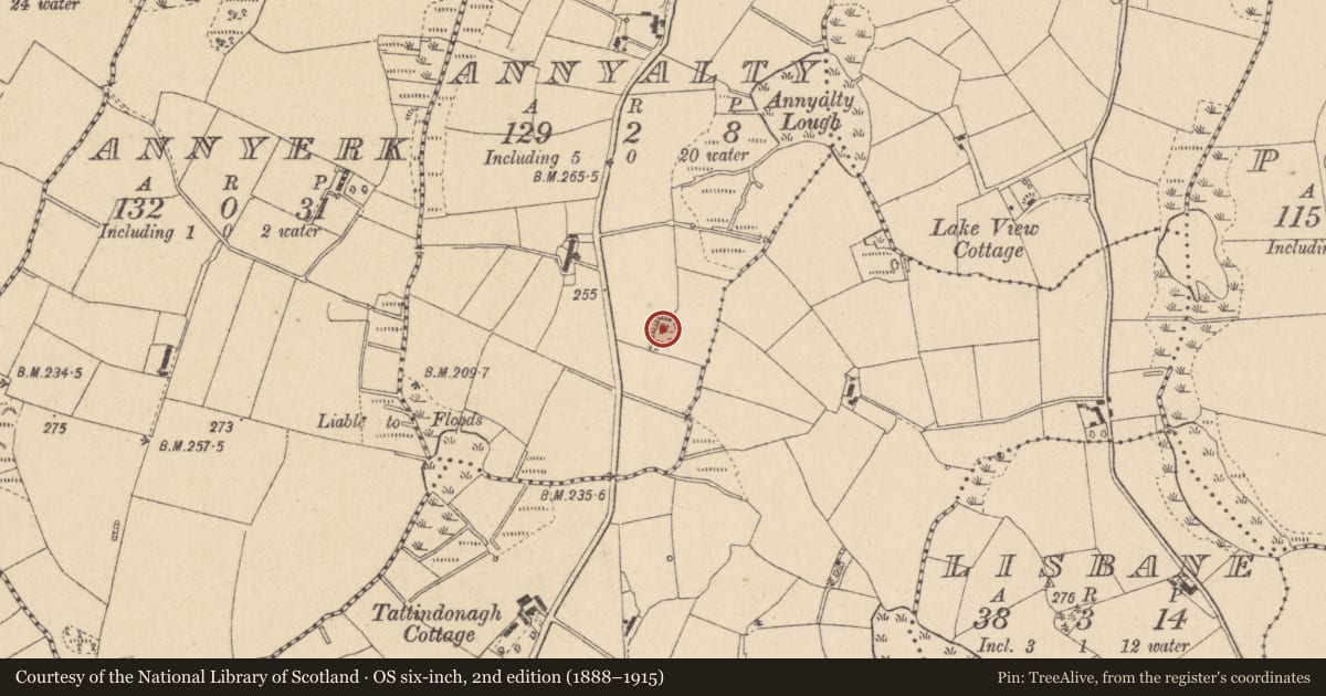 Ordnance Survey six-inch map, 2nd edition (1888–1915) covering the location of Ringfort - rath, Annyalty, County Monaghan, with a pin at the register's coordinates