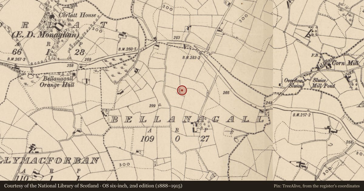 Ordnance Survey six-inch map, 2nd edition (1888–1915) covering the location of Ringfort - rath, Bellanagall, County Monaghan, with a pin at the register's coordinates