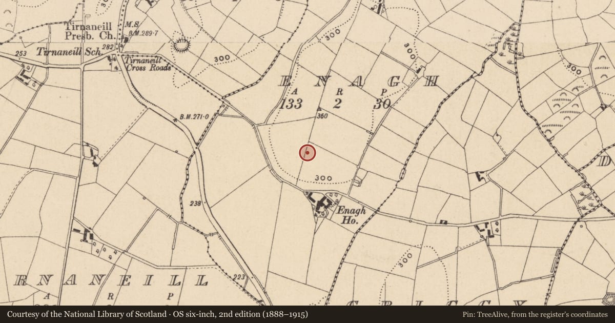 Ordnance Survey six-inch map, 2nd edition (1888–1915) covering the location of Ringfort - rath, Enagh, County Monaghan, with a pin at the register's coordinates