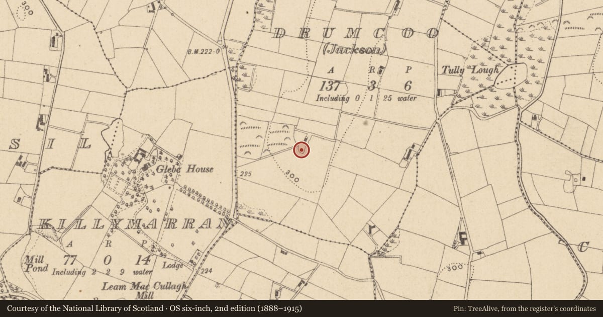 Ordnance Survey six-inch map, 2nd edition (1888–1915) covering the location of Ringfort - rath, Drumcoo (Jackson), County Monaghan, with a pin at the register's coordinates