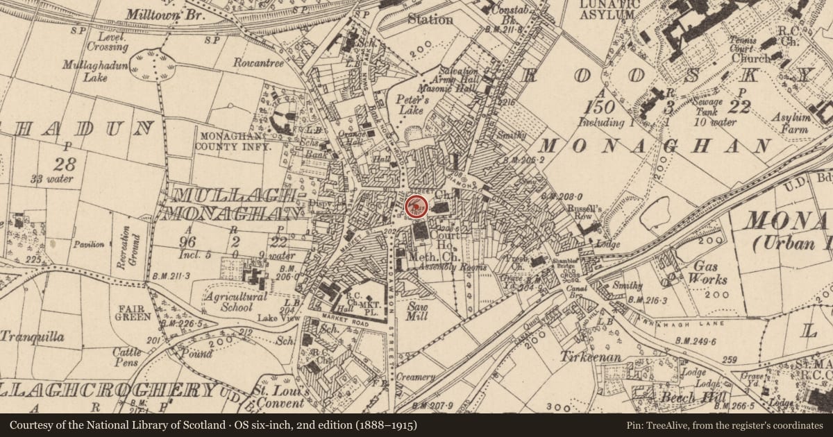 Ordnance Survey six-inch map, 2nd edition (1888–1915) covering the location of Historic town, County Monaghan, with a pin at the register's coordinates