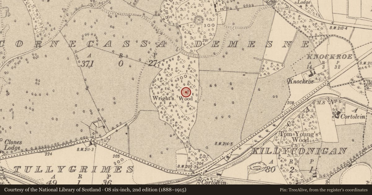 Ordnance Survey six-inch map, 2nd edition (1888–1915) covering the location of Ringfort - rath, Cornecassa Demesne, County Monaghan, with a pin at the register's coordinates
