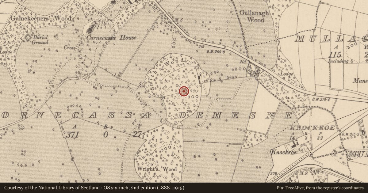 Ordnance Survey six-inch map, 2nd edition (1888–1915) covering the location of Ringfort - rath, Cornecassa Demesne, County Monaghan, with a pin at the register's coordinates