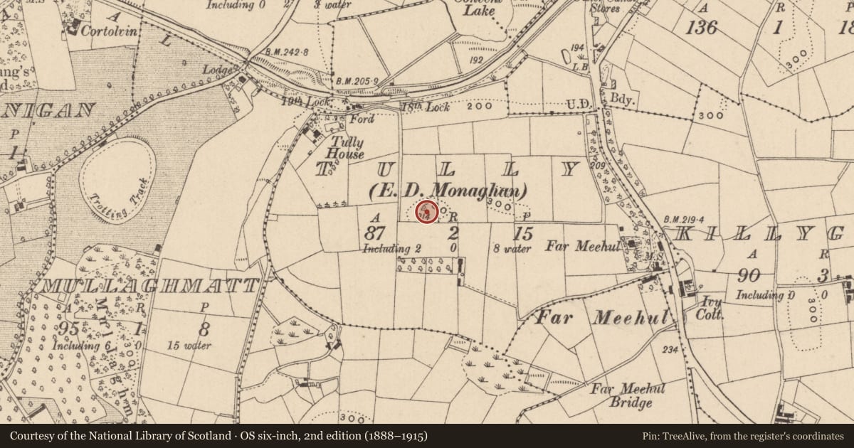 Ordnance Survey six-inch map, 2nd edition (1888–1915) covering the location of Mound, Tully (Monaghan By., Monaghan Par.), County Monaghan, with a pin at the register's coordinates