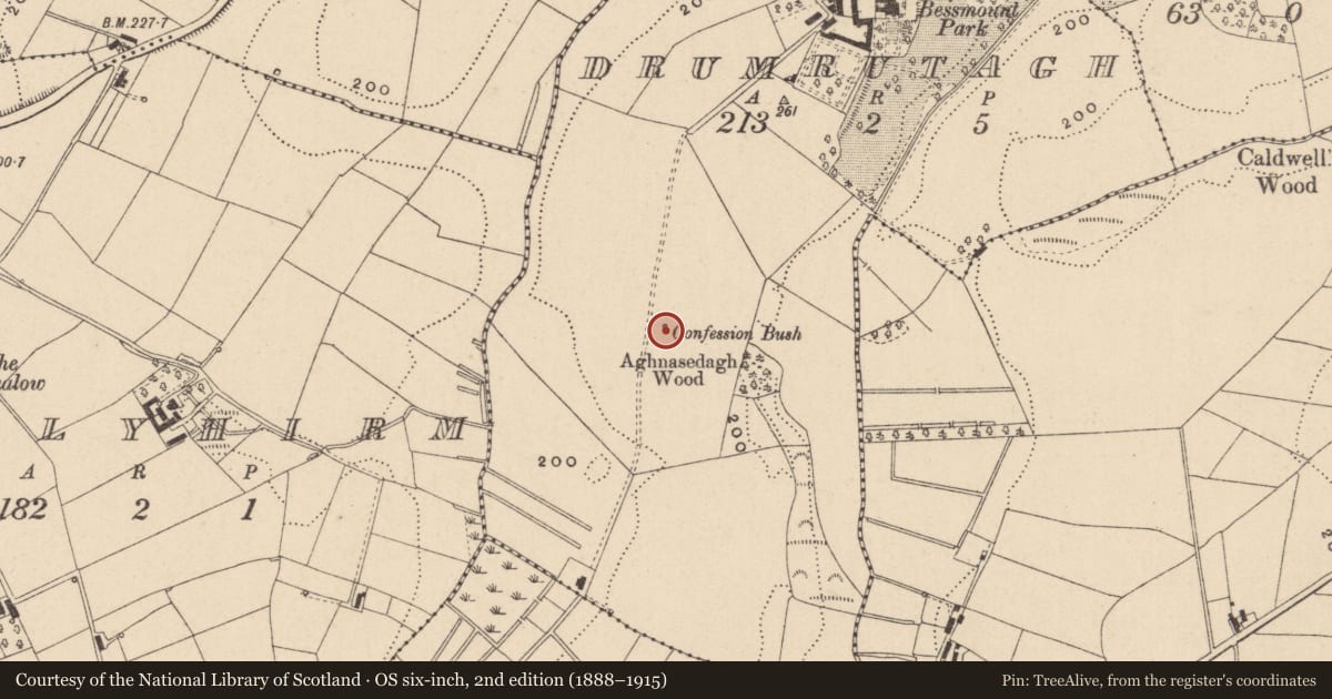 Ordnance Survey six-inch map, 2nd edition (1888–1915) covering the location of Ritual site - holy tree/bush, Drumrutagh, County Monaghan, with a pin at the register's coordinates