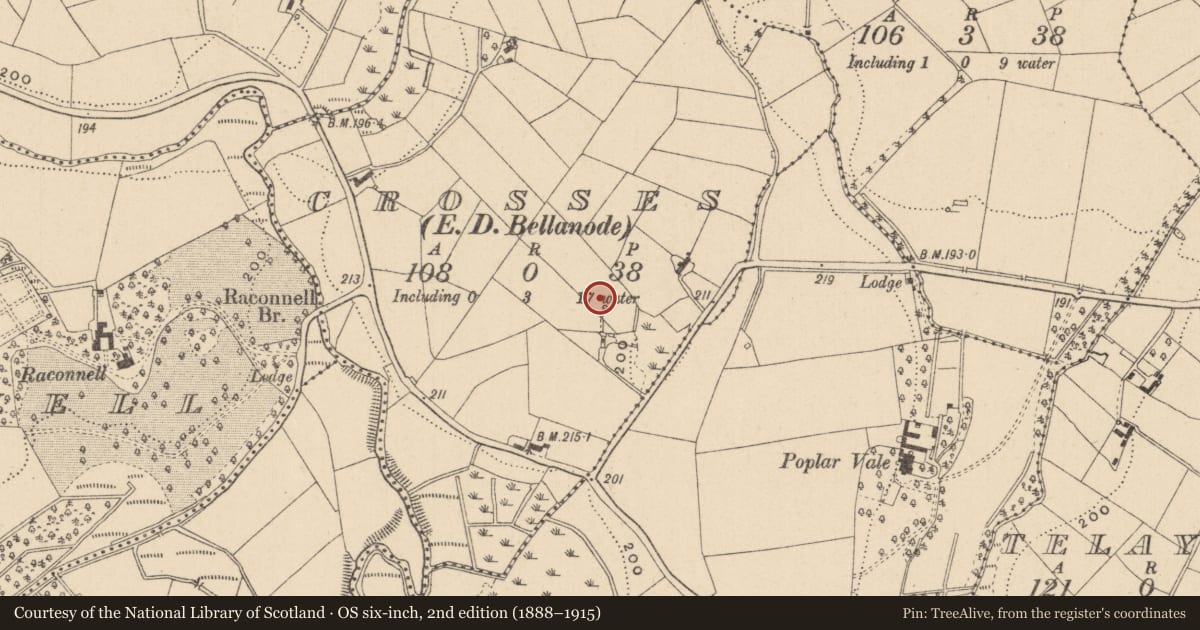 Ordnance Survey six-inch map, 2nd edition (1888–1915) covering the location of Hearth, Crosses (Monaghan by, County Monaghan, with a pin at the register's coordinates