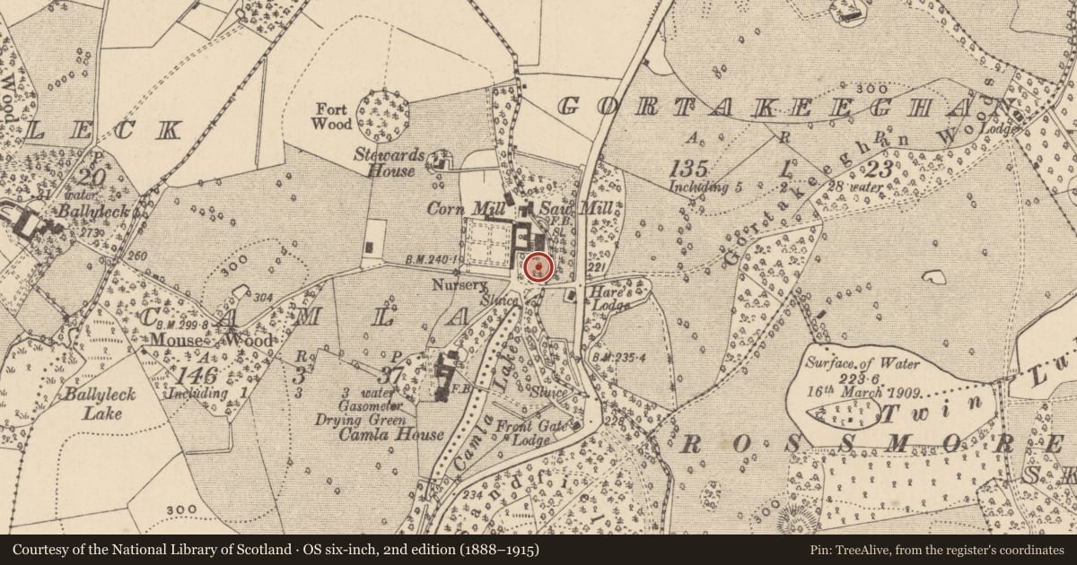 Ordnance Survey six-inch map, 2nd edition (1888–1915) covering the location of Designed landscape feature, Camla, County Monaghan, with a pin at the register's coordinates