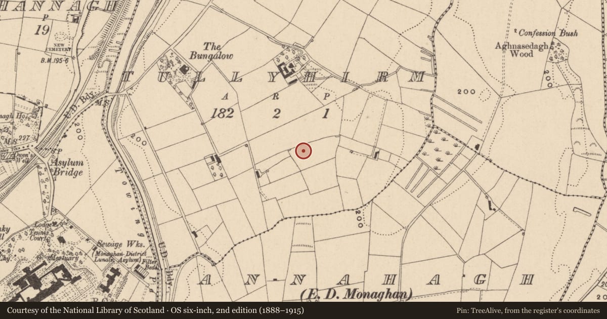 Ordnance Survey six-inch map, 2nd edition (1888–1915) covering the location of Fulacht fia, Tullyhirm, County Monaghan, with a pin at the register's coordinates
