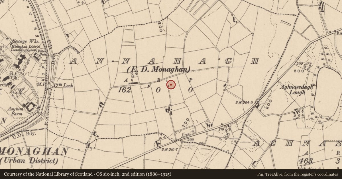 Ordnance Survey six-inch map, 2nd edition (1888–1915) covering the location of Fulacht fia, Annahagh (Monaghan by, County Monaghan, with a pin at the register's coordinates