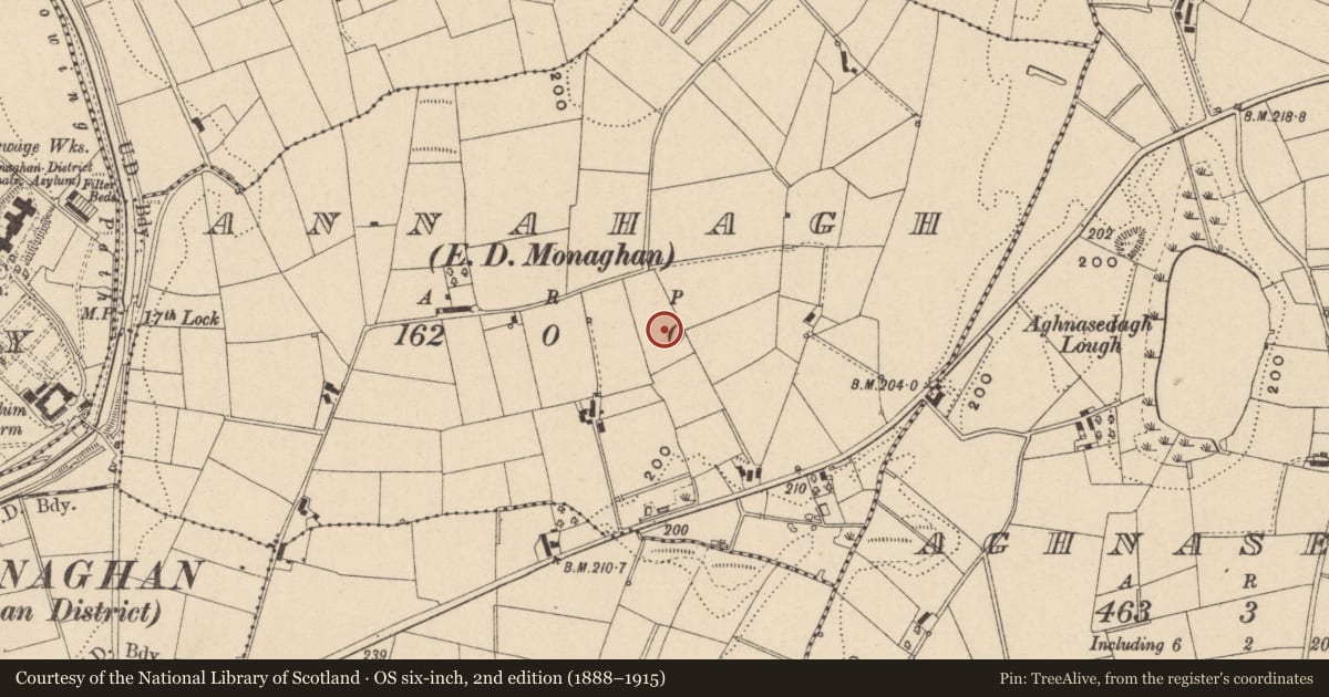 Ordnance Survey six-inch map, 2nd edition (1888–1915) covering the location of Fulacht fia, Annahagh (Monaghan by, County Monaghan, with a pin at the register's coordinates