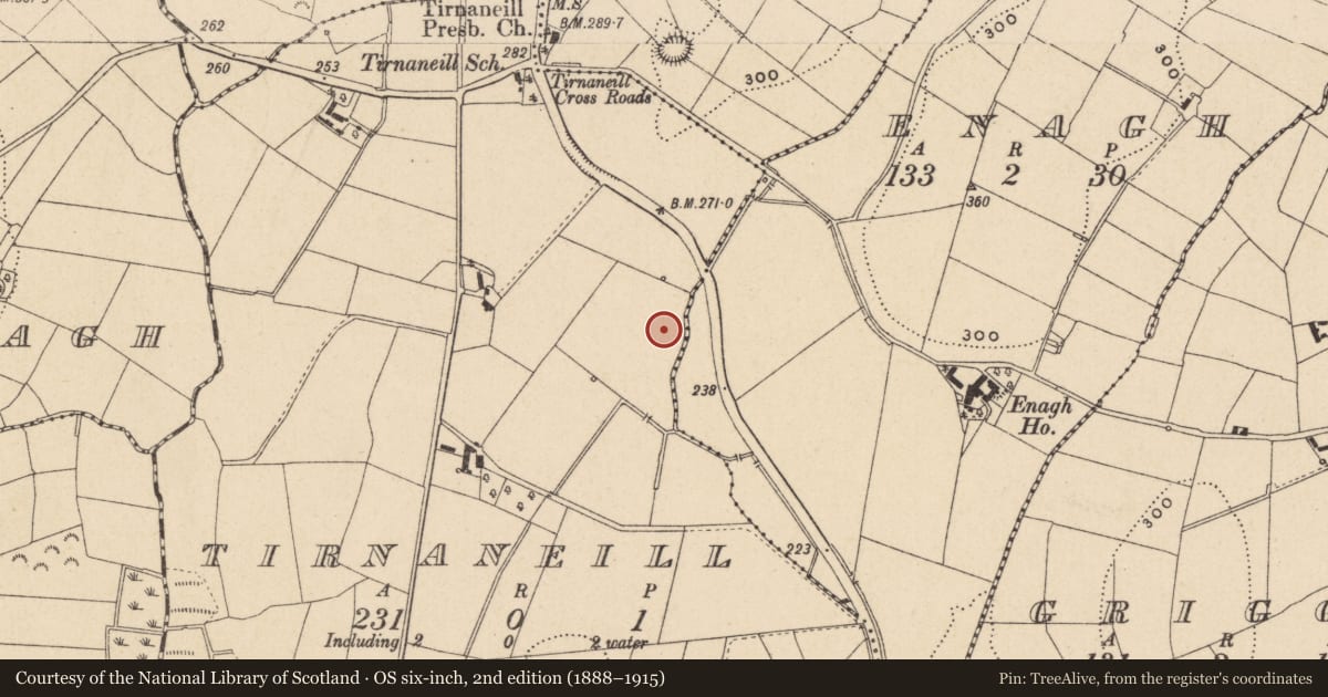 Ordnance Survey six-inch map, 2nd edition (1888–1915) covering the location of Burnt pit, Tirnaneill, County Monaghan, with a pin at the register's coordinates