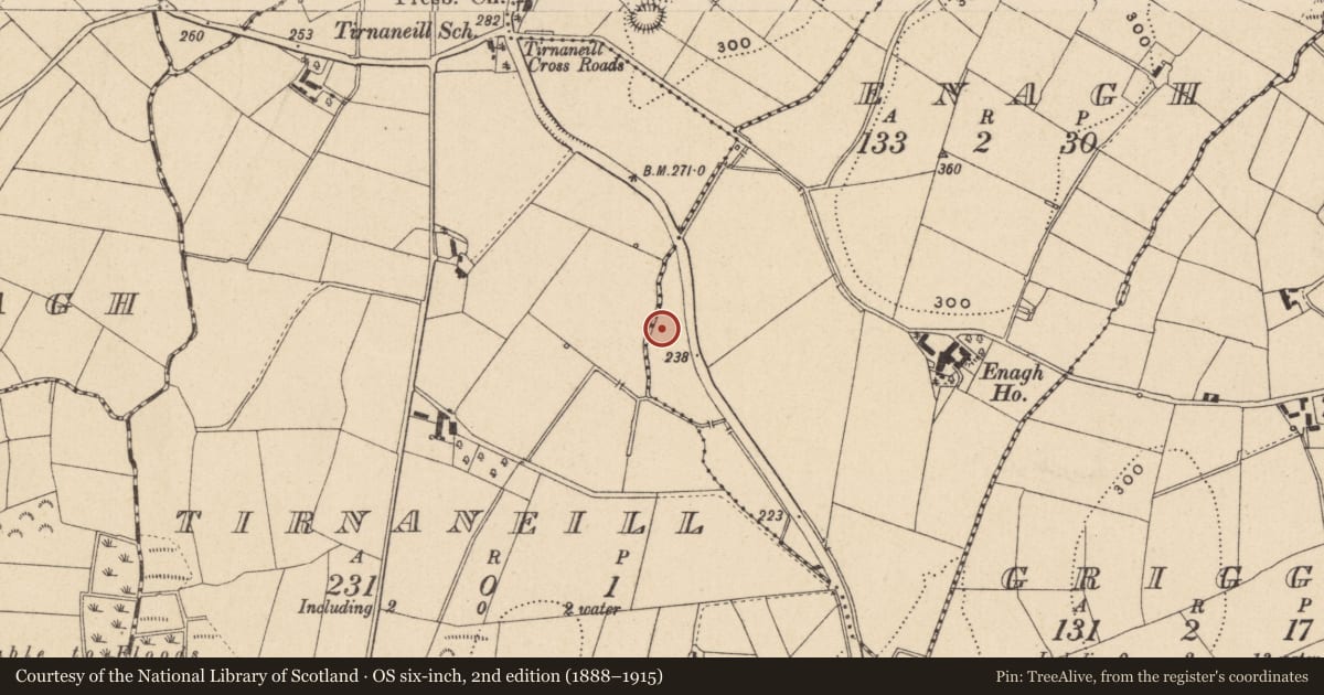 Ordnance Survey six-inch map, 2nd edition (1888–1915) covering the location of Fulacht fia, Tirnaneill, County Monaghan, with a pin at the register's coordinates