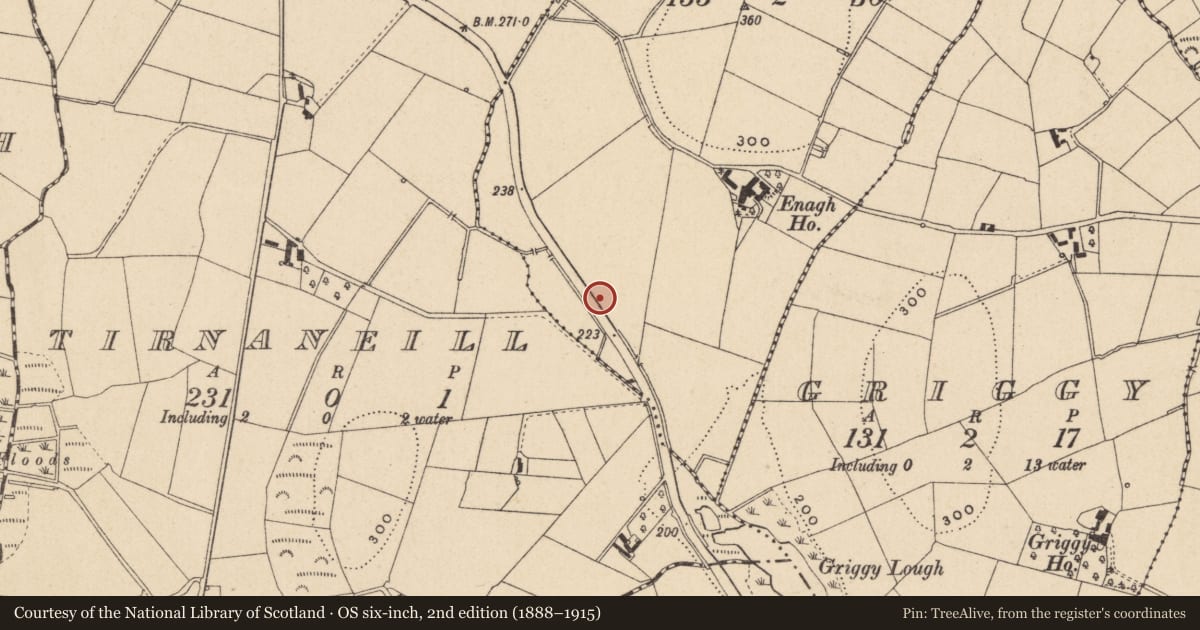 Ordnance Survey six-inch map, 2nd edition (1888–1915) covering the location of Burnt pit, Enagh, County Monaghan, with a pin at the register's coordinates