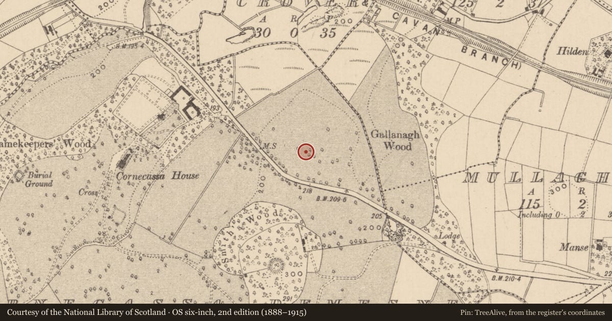 Ordnance Survey six-inch map, 2nd edition (1888–1915) covering the location of Earthwork, Cornecassa Demesne, County Monaghan, with a pin at the register's coordinates
