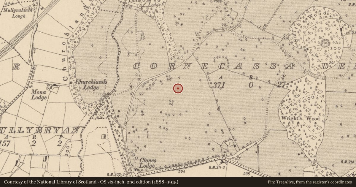 Ordnance Survey six-inch map, 2nd edition (1888–1915) covering the location of Enclosure, Cornecassa Demesne, County Monaghan, with a pin at the register's coordinates