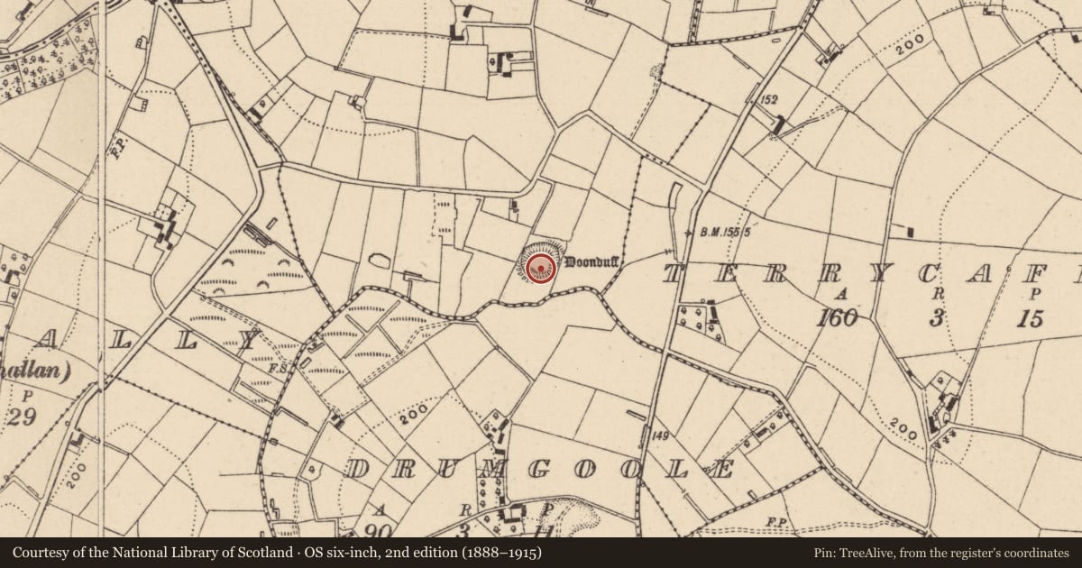 Ordnance Survey six-inch map, 2nd edition (1888–1915) covering the location of Hut site, Tiravera, County Monaghan, with a pin at the register's coordinates
