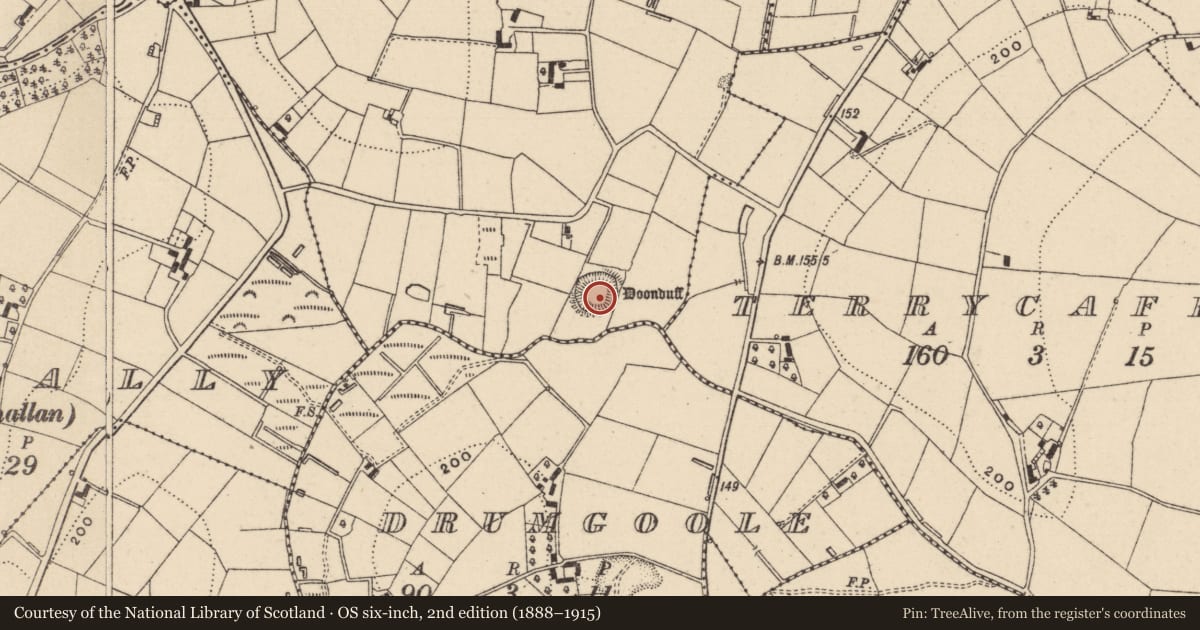 Ordnance Survey six-inch map, 2nd edition (1888–1915) covering the location of Hut site, Tiravera, County Monaghan, with a pin at the register's coordinates