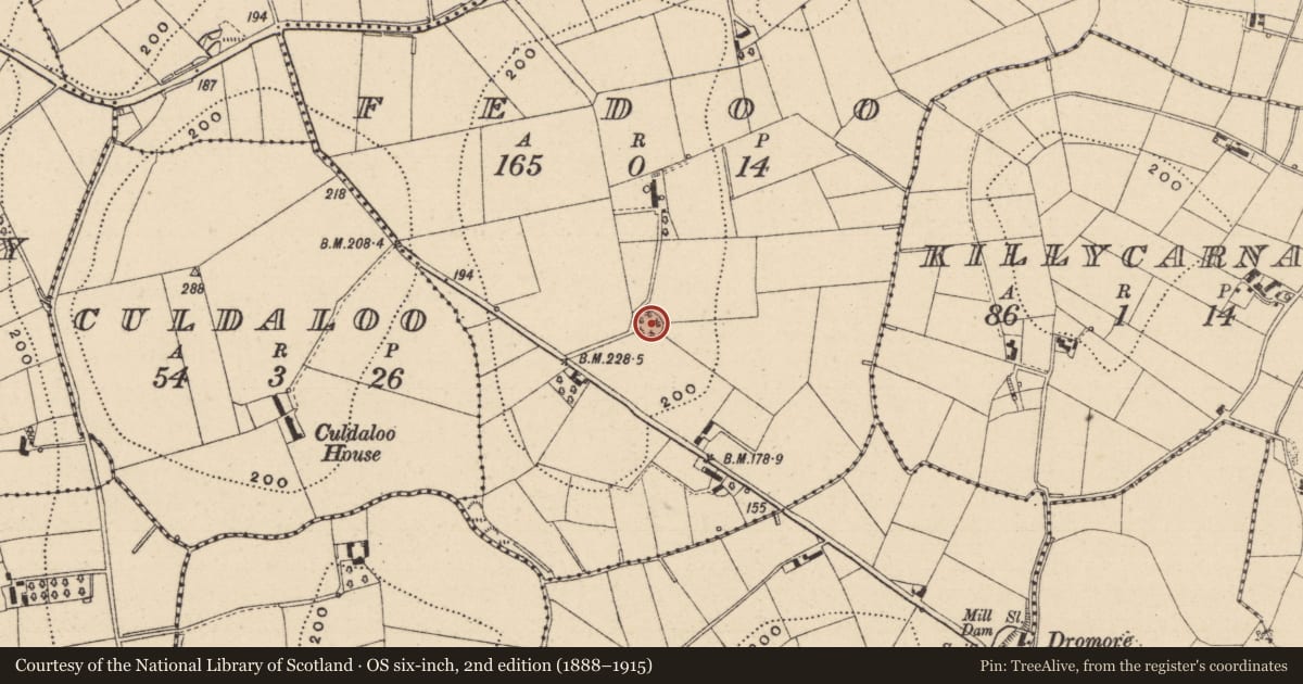 Ordnance Survey six-inch map, 2nd edition (1888–1915) covering the location of Ringfort - rath, Fedoo, County Monaghan, with a pin at the register's coordinates