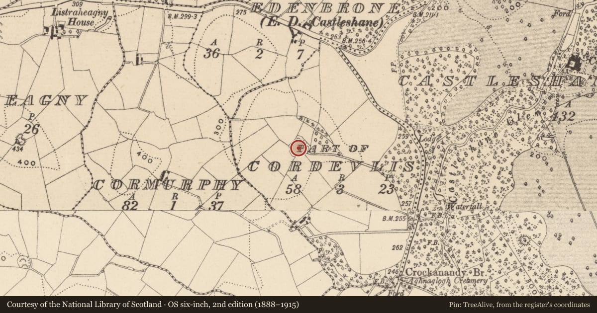 Ordnance Survey six-inch map, 2nd edition (1888–1915) covering the location of Ringfort - rath, Cordevlis (Monaghan By., Monaghan Par.), County Monaghan, with a pin at the register's coordinates