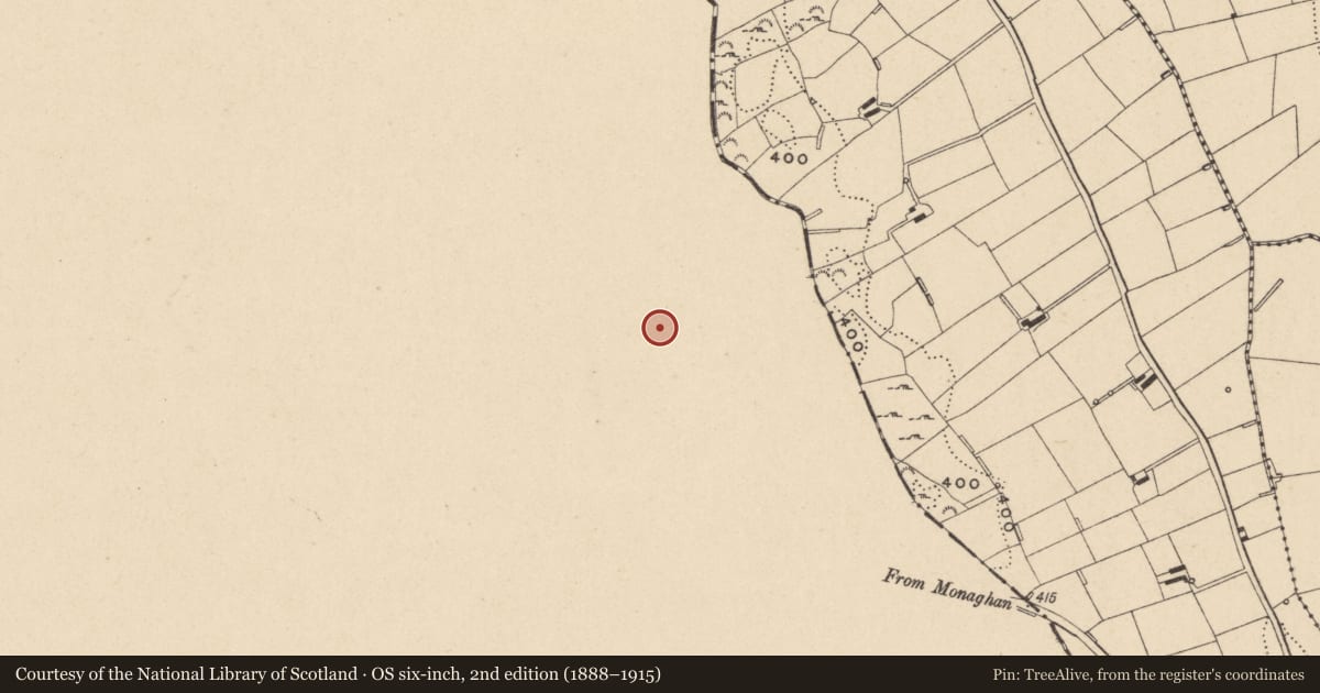 Ordnance Survey six-inch map, 2nd edition (1888–1915) covering the location of Hut site, Drumgolat, County Monaghan, with a pin at the register's coordinates