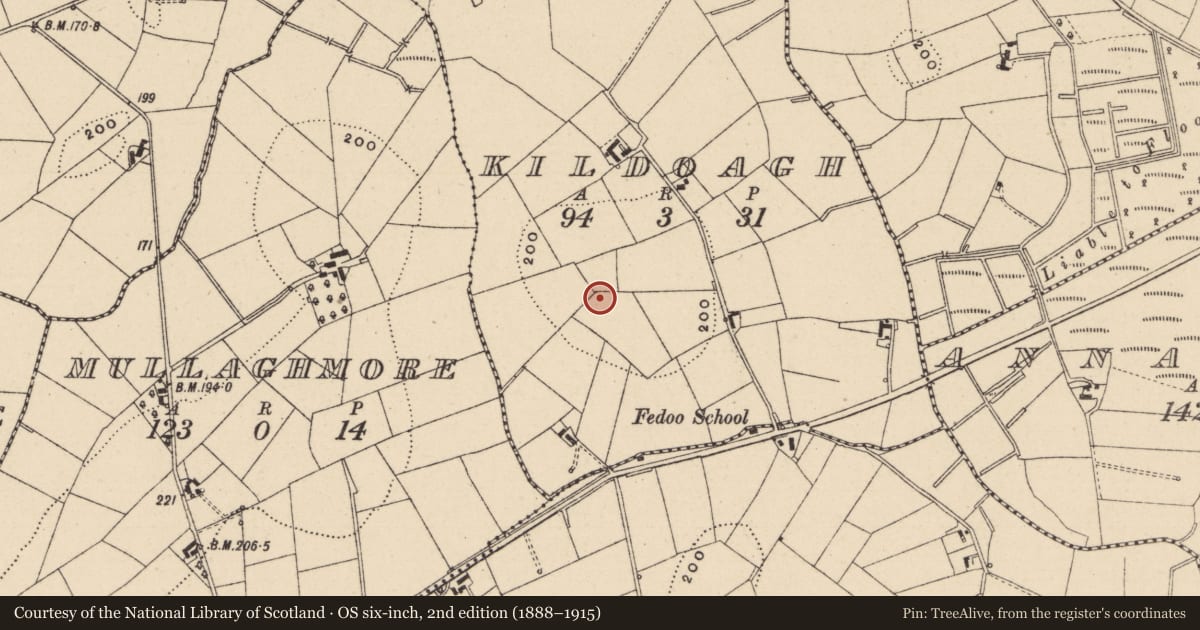 Ordnance Survey six-inch map, 2nd edition (1888–1915) covering the location of Ringfort - rath, Kildoagh, County Monaghan, with a pin at the register's coordinates