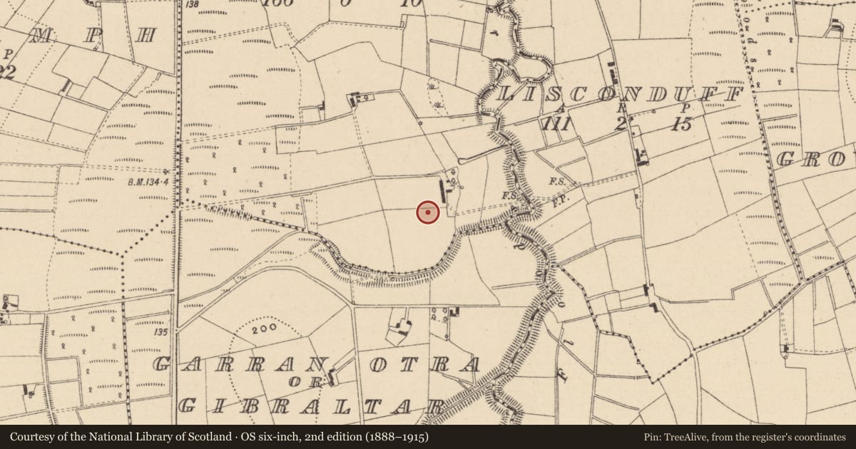 Ordnance Survey six-inch map, 2nd edition (1888–1915) covering the location of Ringfort - rath, Garran Itra, County Monaghan, with a pin at the register's coordinates
