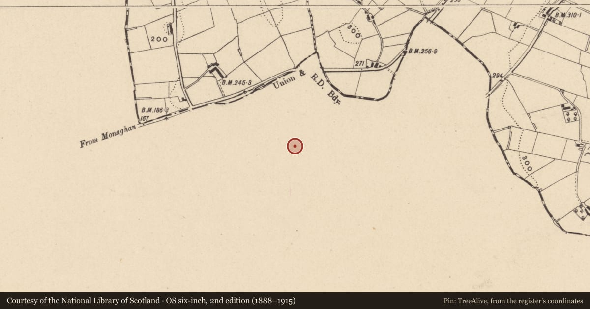 Ordnance Survey six-inch map, 2nd edition (1888–1915) covering the location of Ringfort - rath, Cavancreevy, County Monaghan, with a pin at the register's coordinates