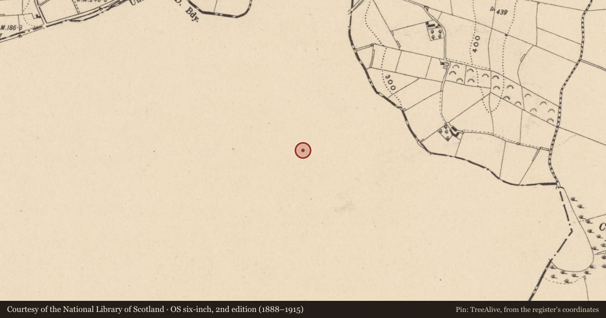 Ordnance Survey six-inch map, 2nd edition (1888–1915) covering the location of Ringfort - rath, Cavancreevy, County Monaghan, with a pin at the register's coordinates