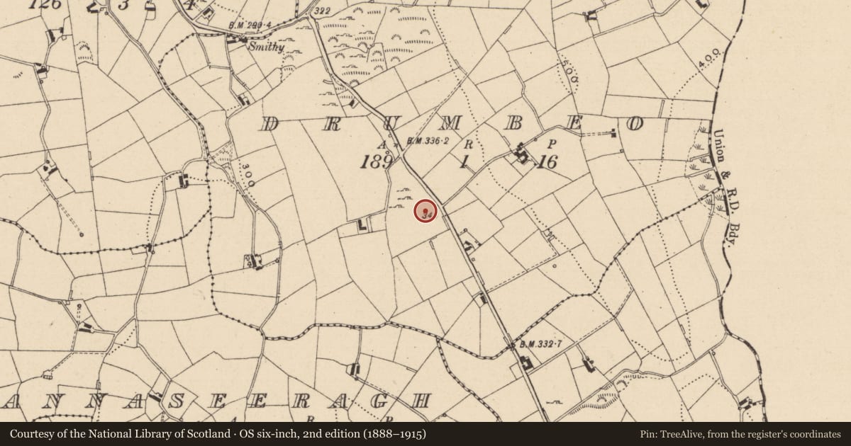 Ordnance Survey six-inch map, 2nd edition (1888–1915) covering the location of Enclosure, Drumbeo, County Monaghan, with a pin at the register's coordinates