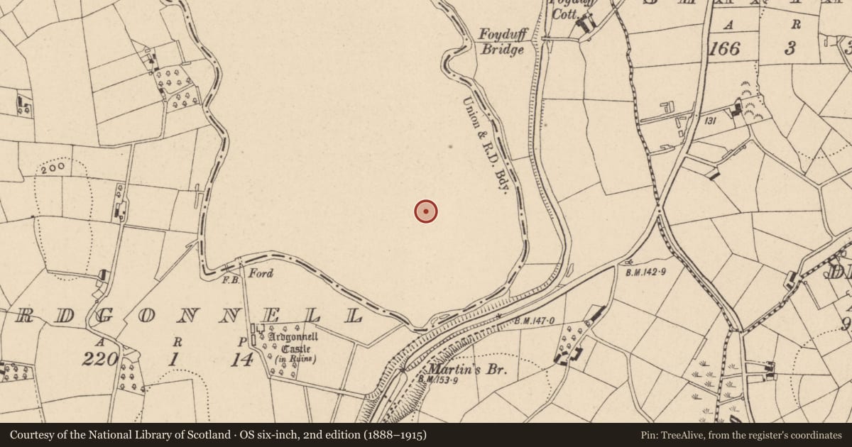 Ordnance Survey six-inch map, 2nd edition (1888–1915) covering the location of Enclosure - large enclosure, Annareagh South, County Monaghan, with a pin at the register's coordinates