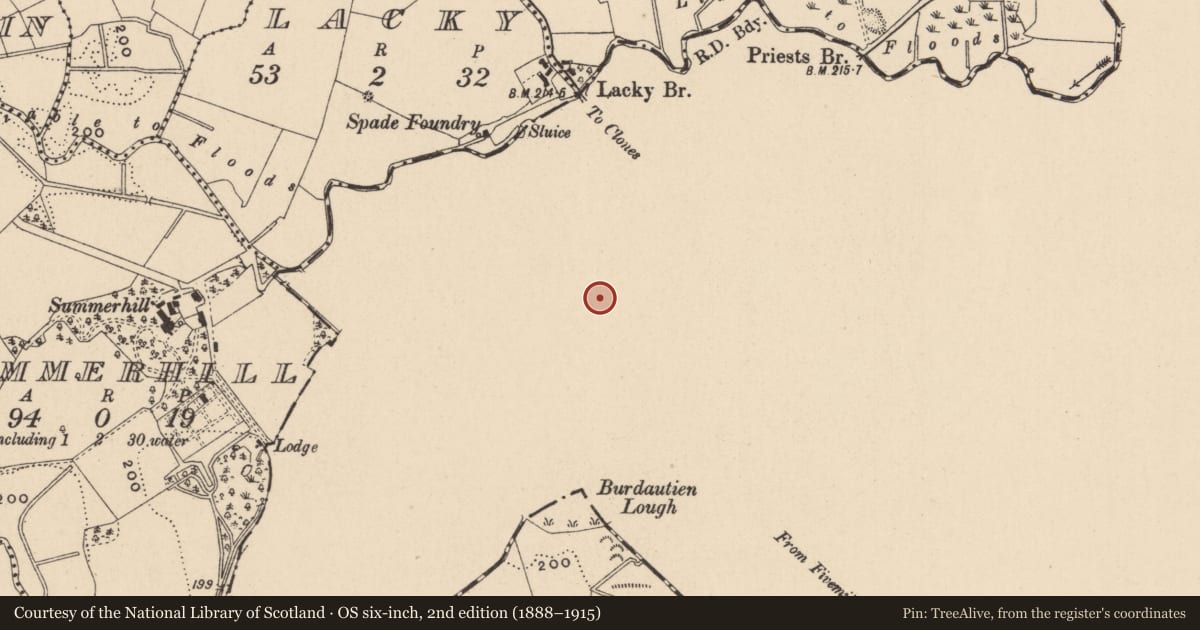 Ordnance Survey six-inch map, 2nd edition (1888–1915) covering the location of Church, Drumard, County Monaghan, with a pin at the register's coordinates