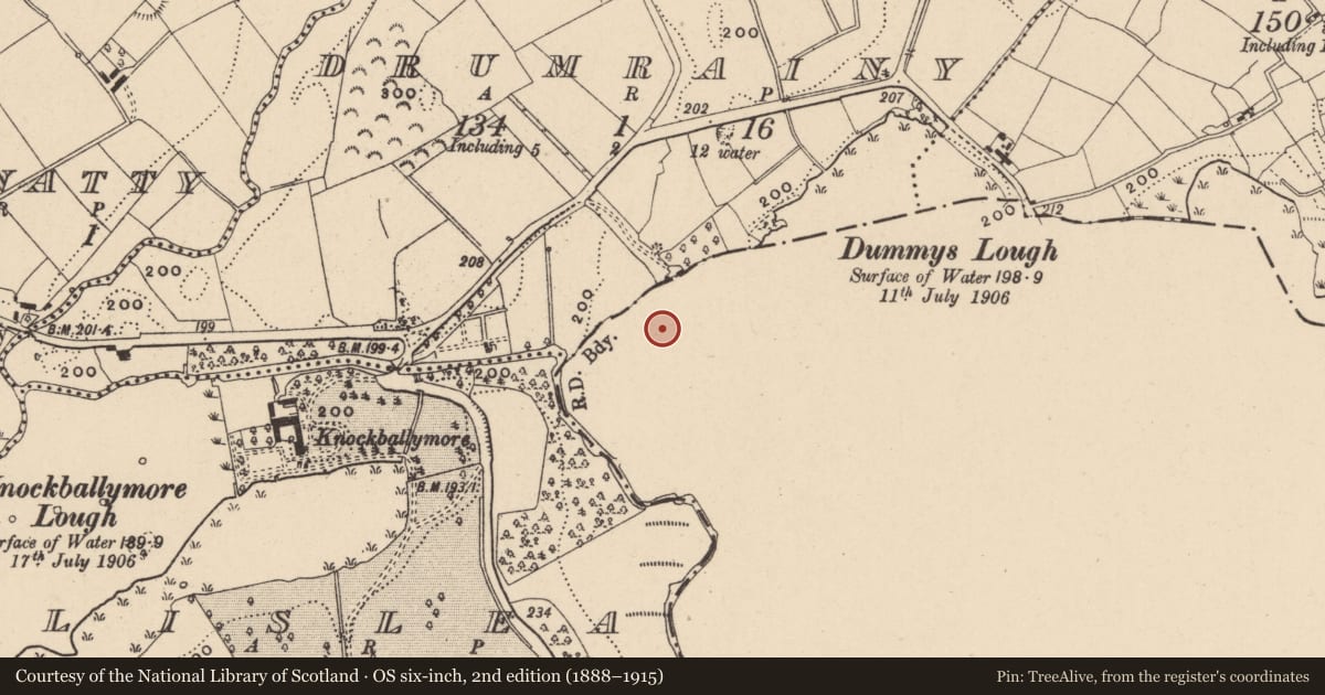 Ordnance Survey six-inch map, 2nd edition (1888–1915) covering the location of Enclosure, Lisnaroe Near, County Monaghan, with a pin at the register's coordinates