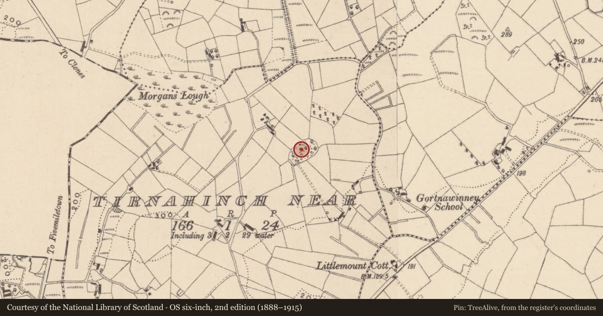 Ordnance Survey six-inch map, 2nd edition (1888–1915) covering the location of Enclosure - large enclosure, Tirnahinch Near, County Monaghan, with a pin at the register's coordinates