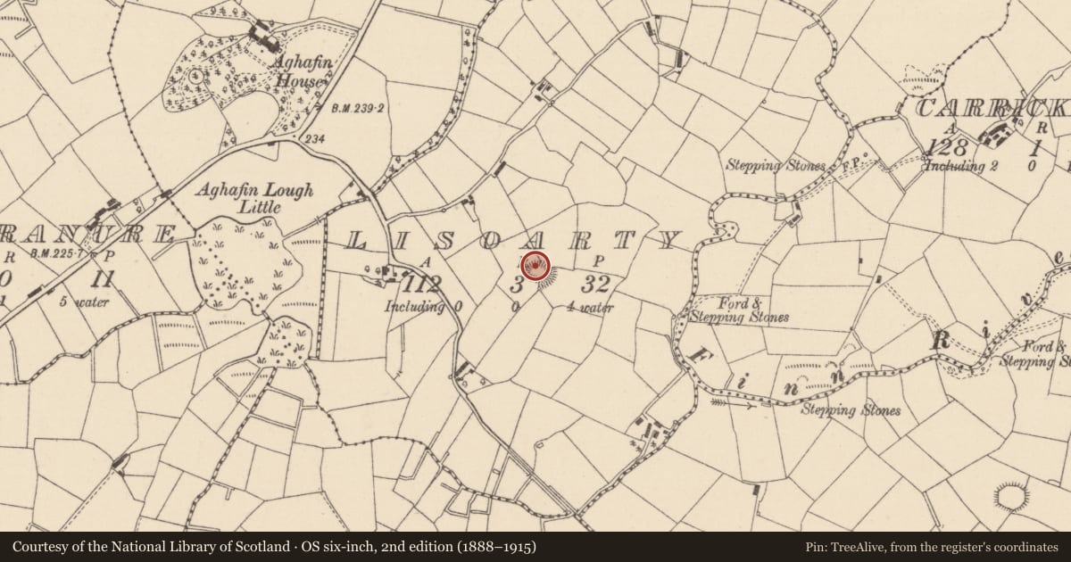 Ordnance Survey six-inch map, 2nd edition (1888–1915) covering the location of Ringfort - rath, Lisoarty, County Monaghan, with a pin at the register's coordinates