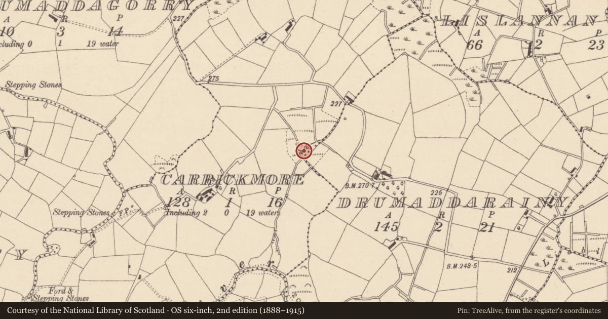 Ordnance Survey six-inch map, 2nd edition (1888–1915) covering the location of Crannog, Carrickmore, County Monaghan, with a pin at the register's coordinates