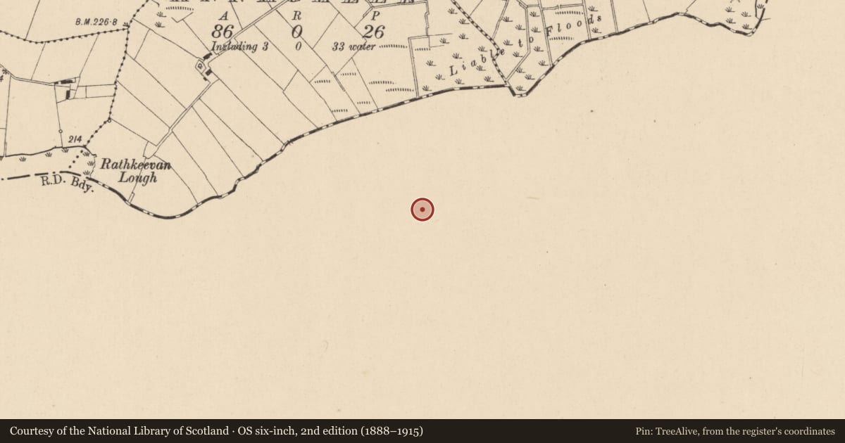 Ordnance Survey six-inch map, 2nd edition (1888–1915) covering the location of Ringfort - rath, Lislannan, County Monaghan, with a pin at the register's coordinates