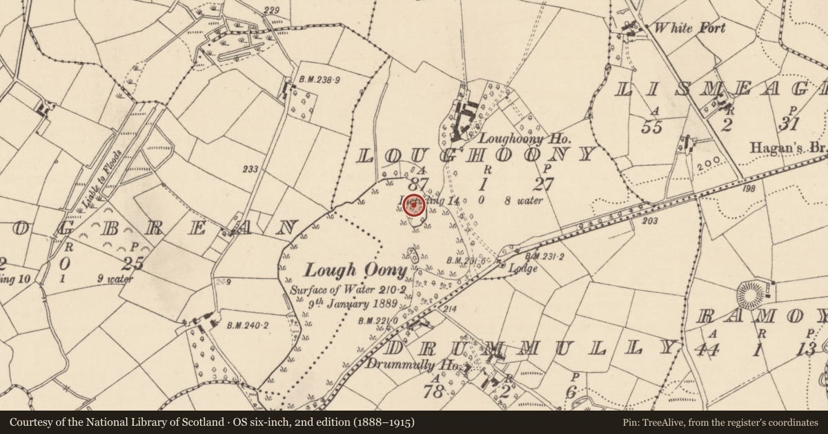 Ordnance Survey six-inch map, 2nd edition (1888–1915) covering the location of Crannog, Loughoony, County Monaghan, with a pin at the register's coordinates