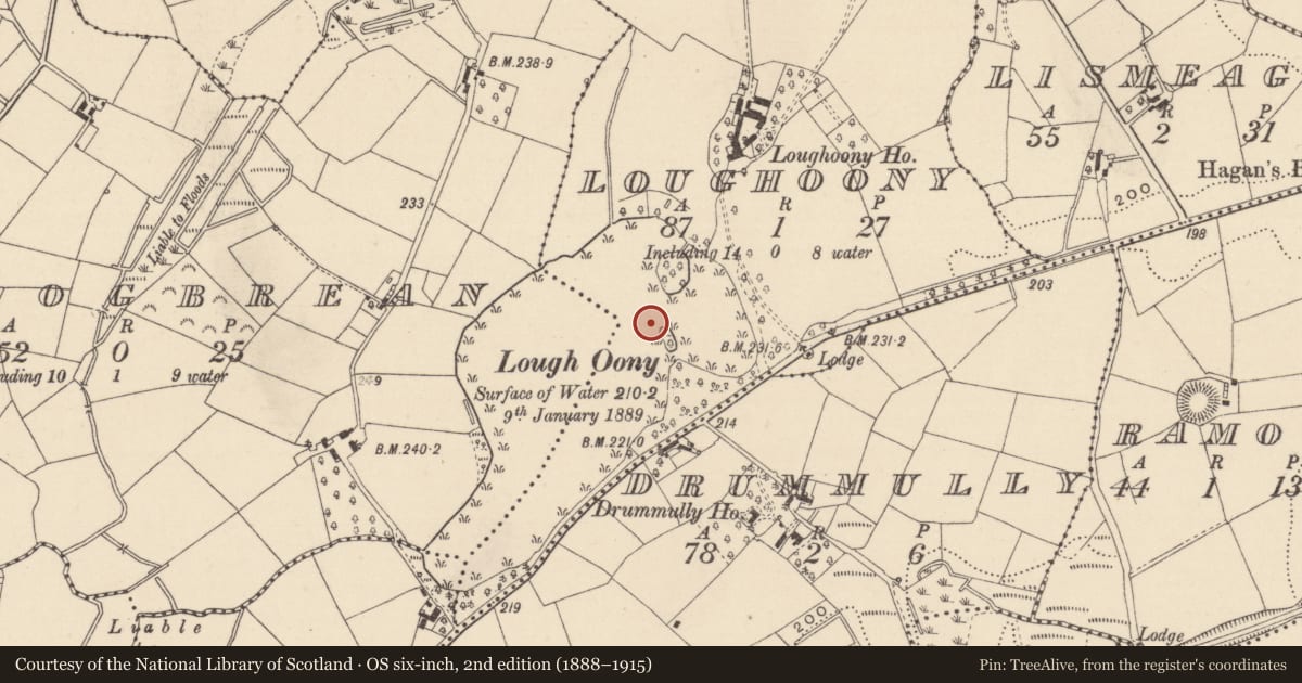 Ordnance Survey six-inch map, 2nd edition (1888–1915) covering the location of Crannog, Loughoony, County Monaghan, with a pin at the register's coordinates