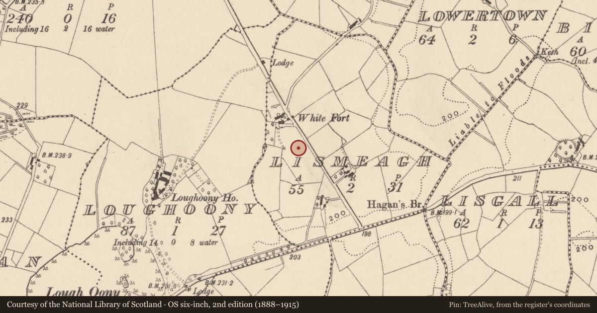 Ordnance Survey six-inch map, 2nd edition (1888–1915) covering the location of Ringfort - rath, Lismeagh, County Monaghan, with a pin at the register's coordinates