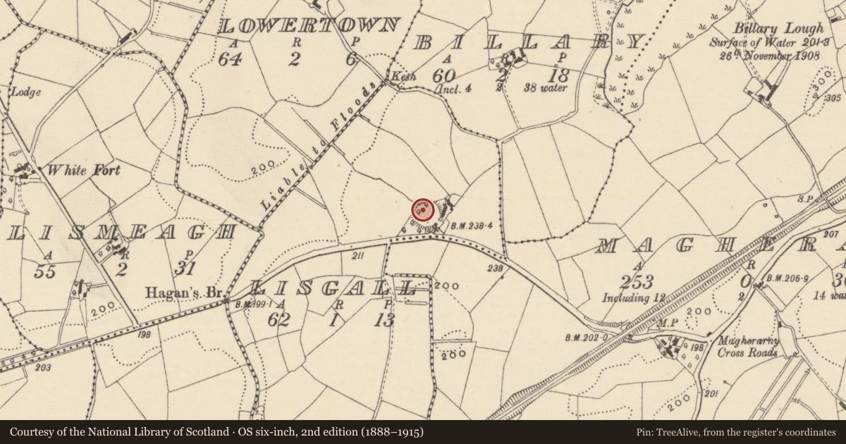 Ordnance Survey six-inch map, 2nd edition (1888–1915) covering the location of Ringfort - rath, Lisgall, County Monaghan, with a pin at the register's coordinates