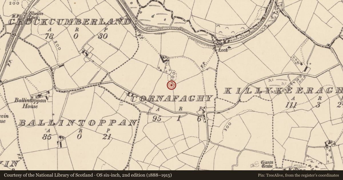 Ordnance Survey six-inch map, 2nd edition (1888–1915) covering the location of Ringfort - rath, Cornafaghy, County Monaghan, with a pin at the register's coordinates