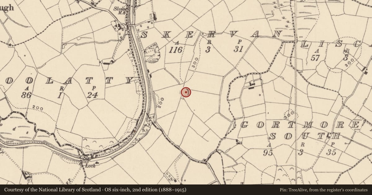 Ordnance Survey six-inch map, 2nd edition (1888–1915) covering the location of Ringfort - rath, Skervan, County Monaghan, with a pin at the register's coordinates