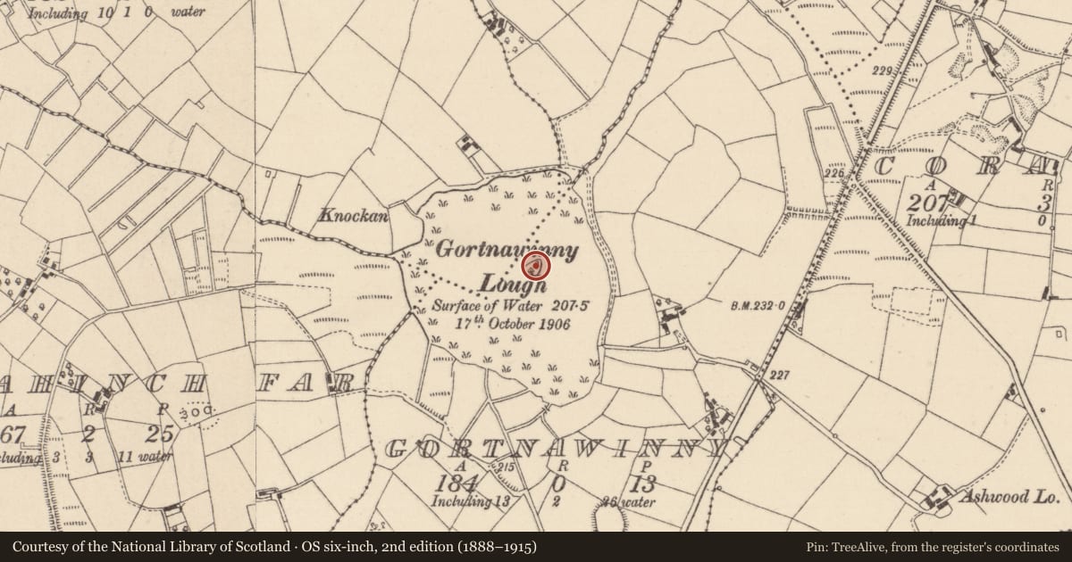 Ordnance Survey six-inch map, 2nd edition (1888–1915) covering the location of Crannog, Gortnawinny, County Monaghan, with a pin at the register's coordinates