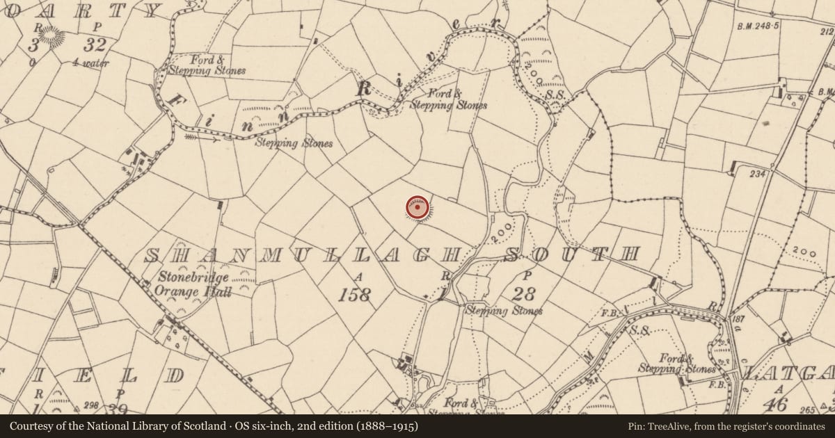 Ordnance Survey six-inch map, 2nd edition (1888–1915) covering the location of Ringfort - rath, Shanmullagh South, County Monaghan, with a pin at the register's coordinates