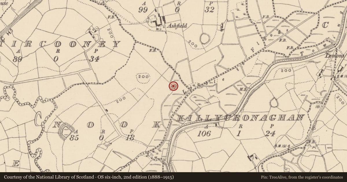 Ordnance Survey six-inch map, 2nd edition (1888–1915) covering the location of Crannog, Nook, County Monaghan, with a pin at the register's coordinates