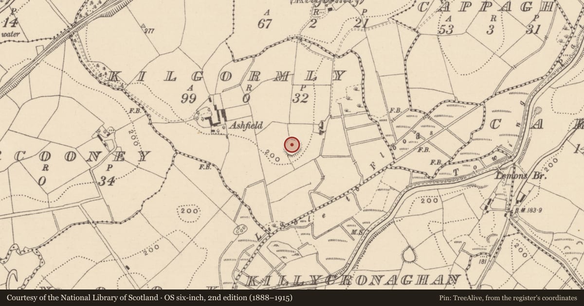 Ordnance Survey six-inch map, 2nd edition (1888–1915) covering the location of Ringfort - rath, Kilgormly, County Monaghan, with a pin at the register's coordinates
