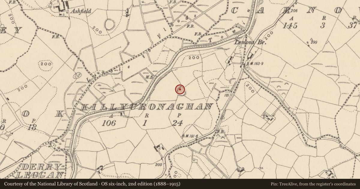 Ordnance Survey six-inch map, 2nd edition (1888–1915) covering the location of Ringfort - rath, Killycronaghan, County Monaghan, with a pin at the register's coordinates