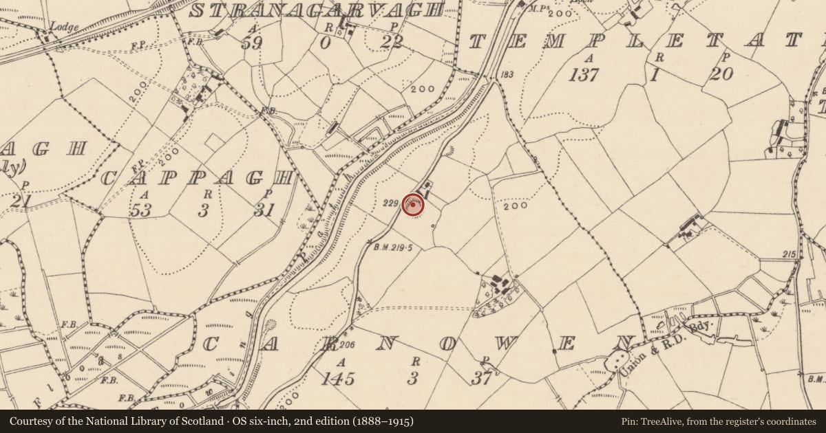 Ordnance Survey six-inch map, 2nd edition (1888–1915) covering the location of Ringfort - rath, Carnowen, County Monaghan, with a pin at the register's coordinates