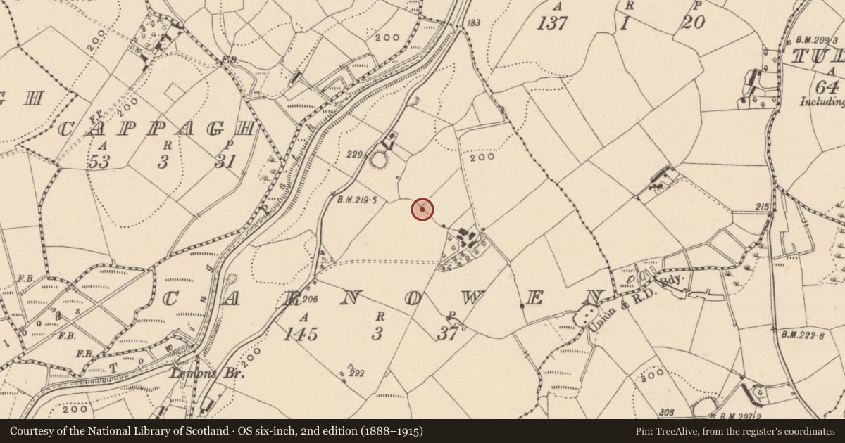 Ordnance Survey six-inch map, 2nd edition (1888–1915) covering the location of Cairn - unclassified, Carnowen, County Monaghan, with a pin at the register's coordinates