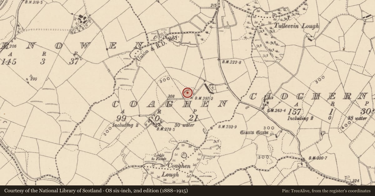 Ordnance Survey six-inch map, 2nd edition (1888–1915) covering the location of Ringfort - rath, Coaghen, County Monaghan, with a pin at the register's coordinates